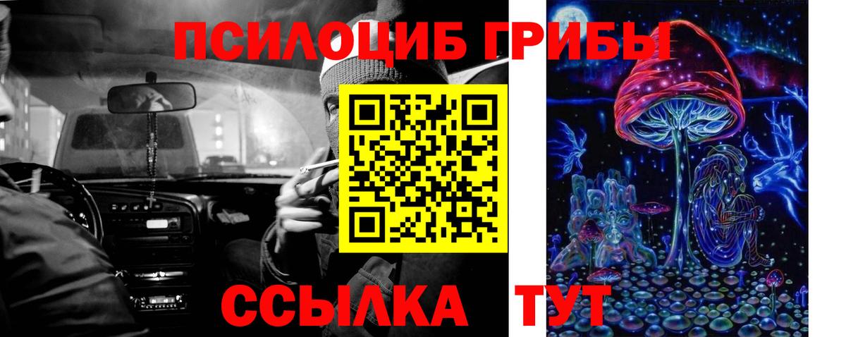 Галлюциногенные грибы Cubensis  Вход с VPN  Городец 
