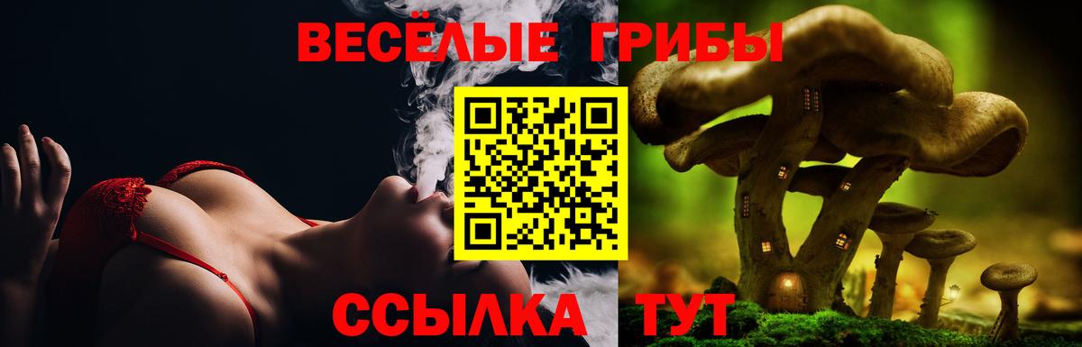 Галлюциногенные грибы MAGIC MUSHROOMS Городец